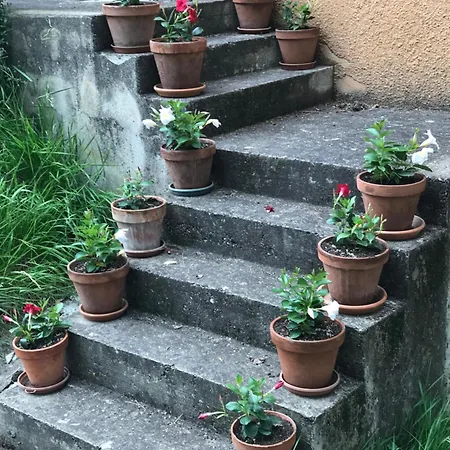 Oda ve Kahvaltı La Maison De Laujol