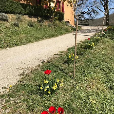 La Maison De Laujol Moissac