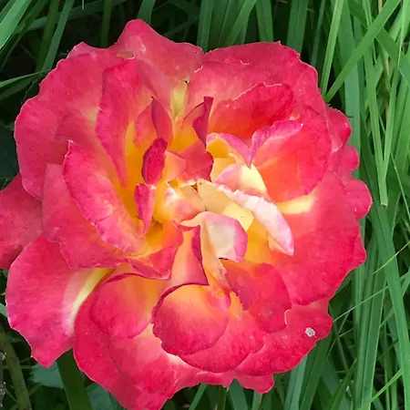 La Maison De Laujol Oda ve Kahvaltı