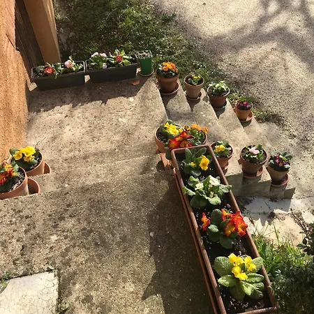 Oda ve Kahvaltı La Maison De Laujol Moissac