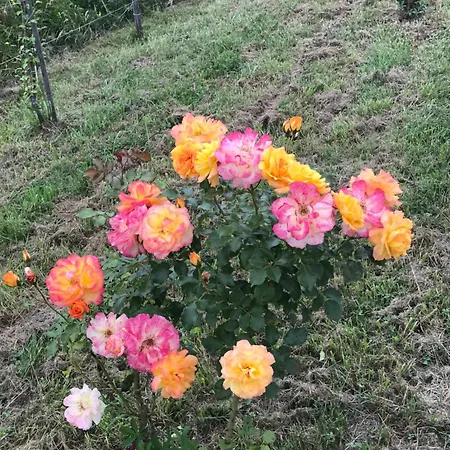 La Maison De Laujol 3*