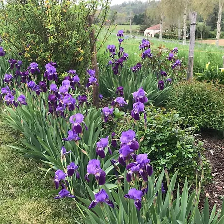 La Maison De Laujol Moissac