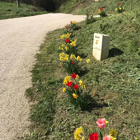 La Maison De Laujol Oda ve Kahvaltı Moissac