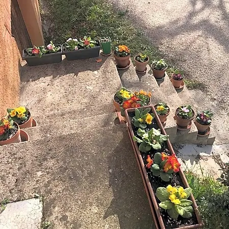 Bed and breakfast La Maison De Laujol Moissac